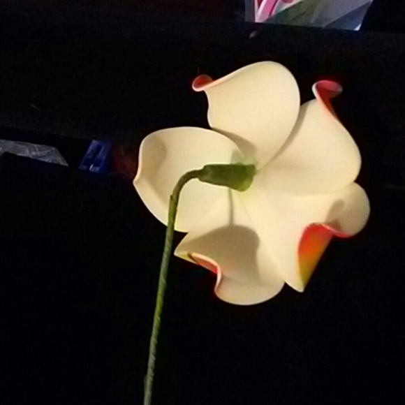 foamposites with flowers